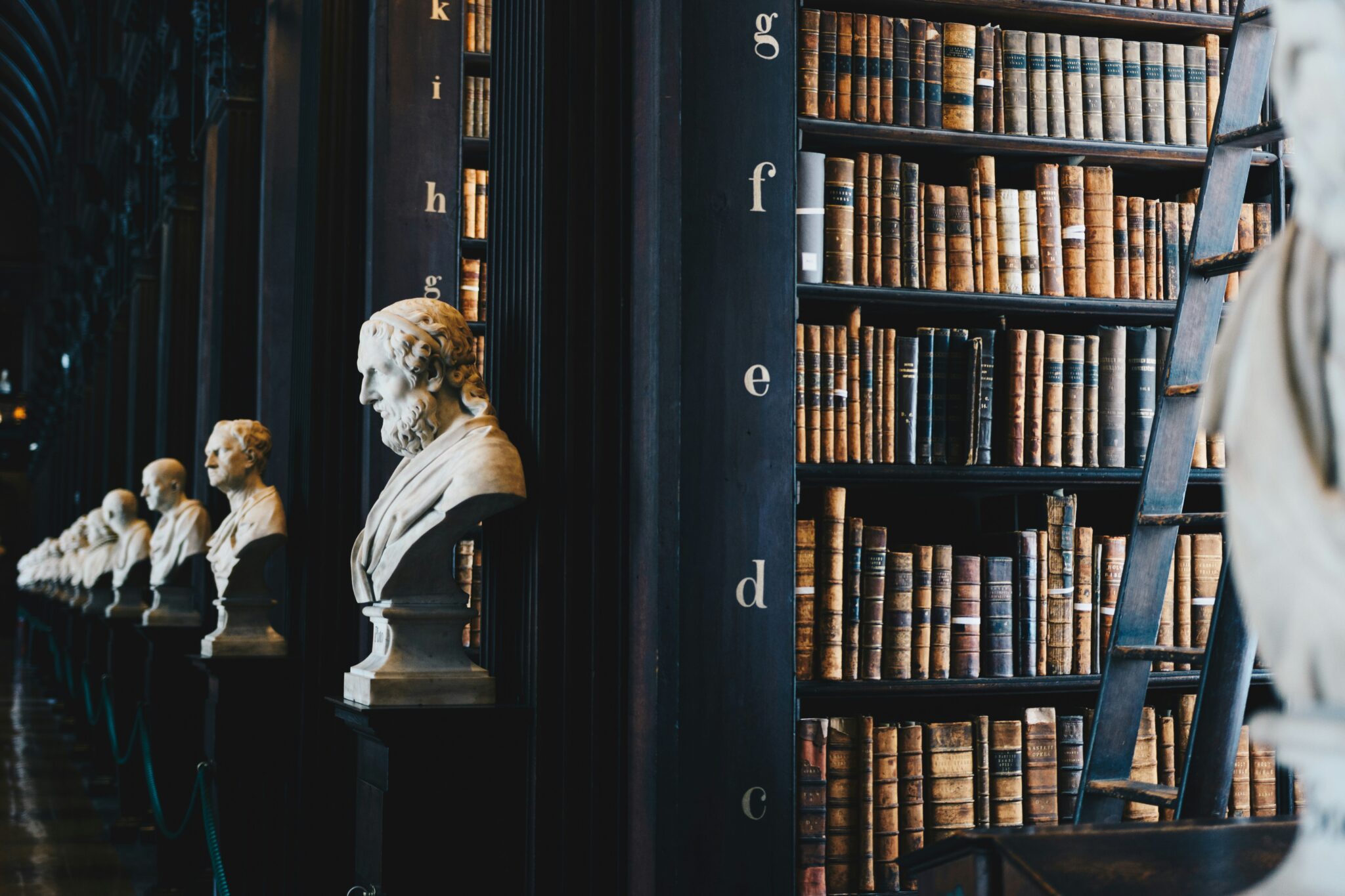 Shelves of books with statues in the background